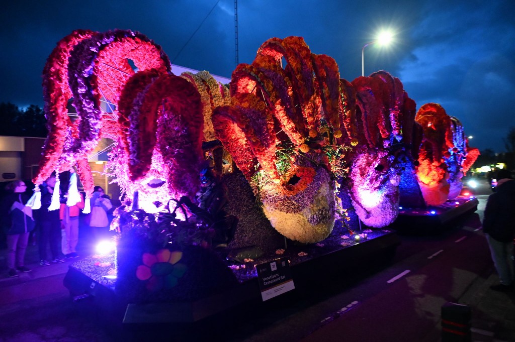 ../Images/Verlicht bloemencorso 2024 042.jpg